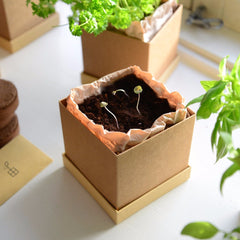 Plant Box subscription as GIFT