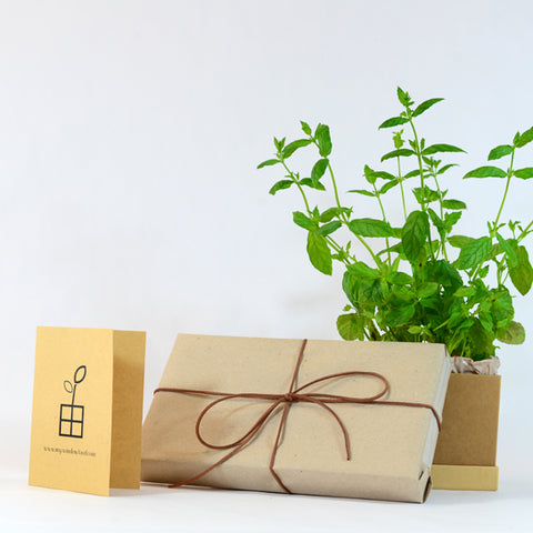 Plant Box subscription as GIFT